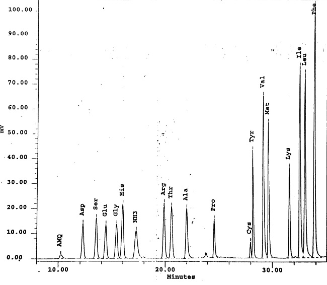 AccQ-Tag_method_amino_acid_형광분석.jpg